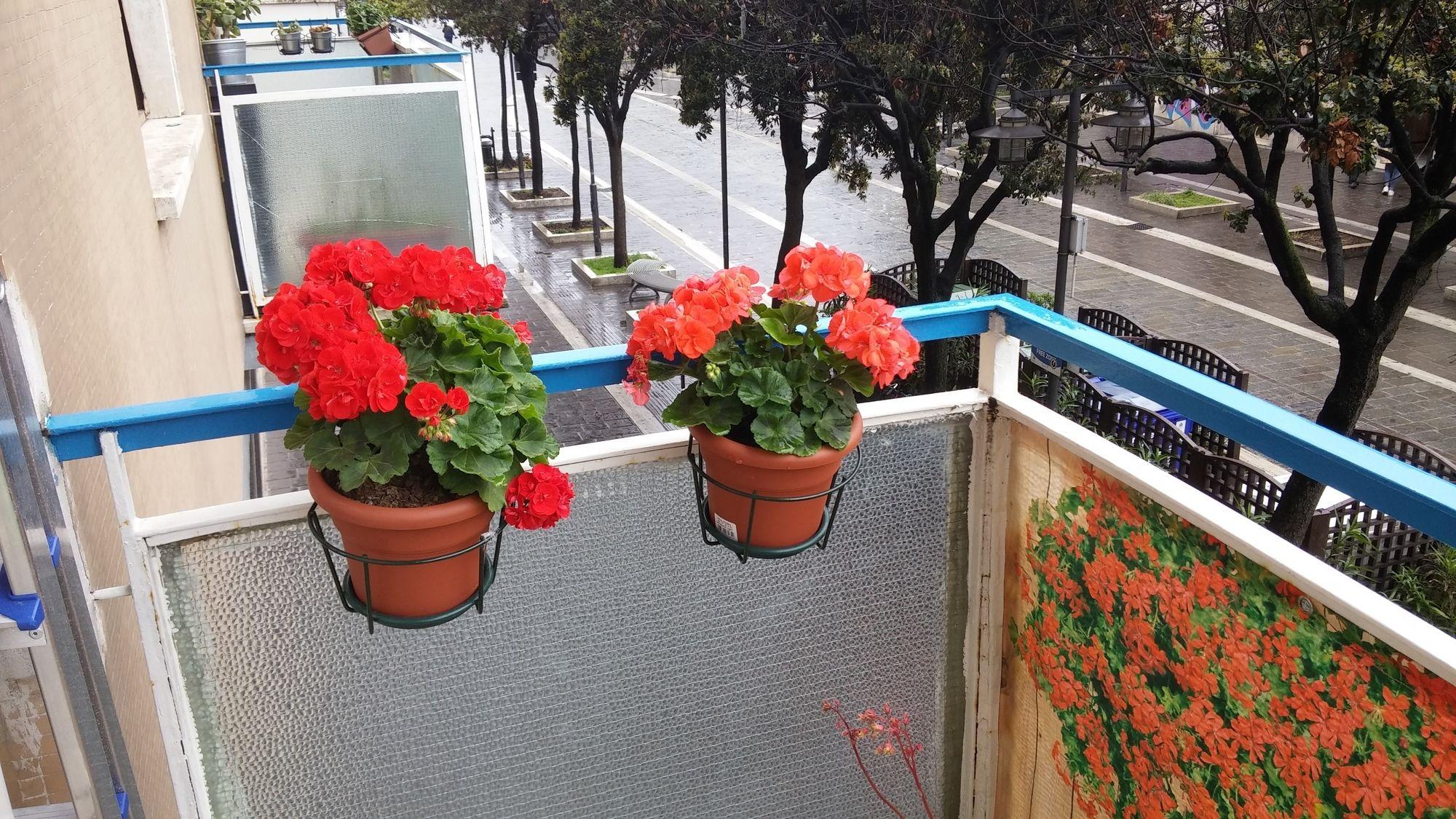 Elisir B & B Pescara Exterior foto
